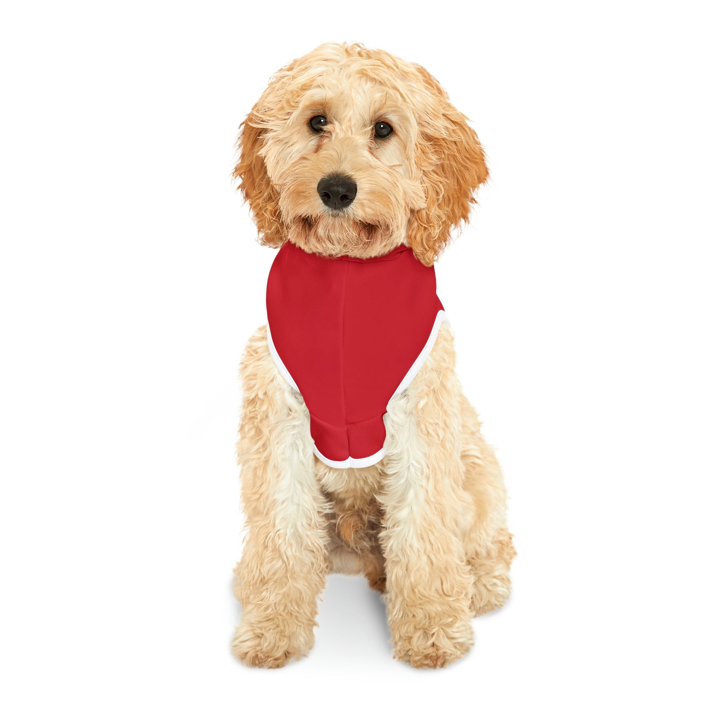 "Santa, I've been good all year.." Pet Hoodie