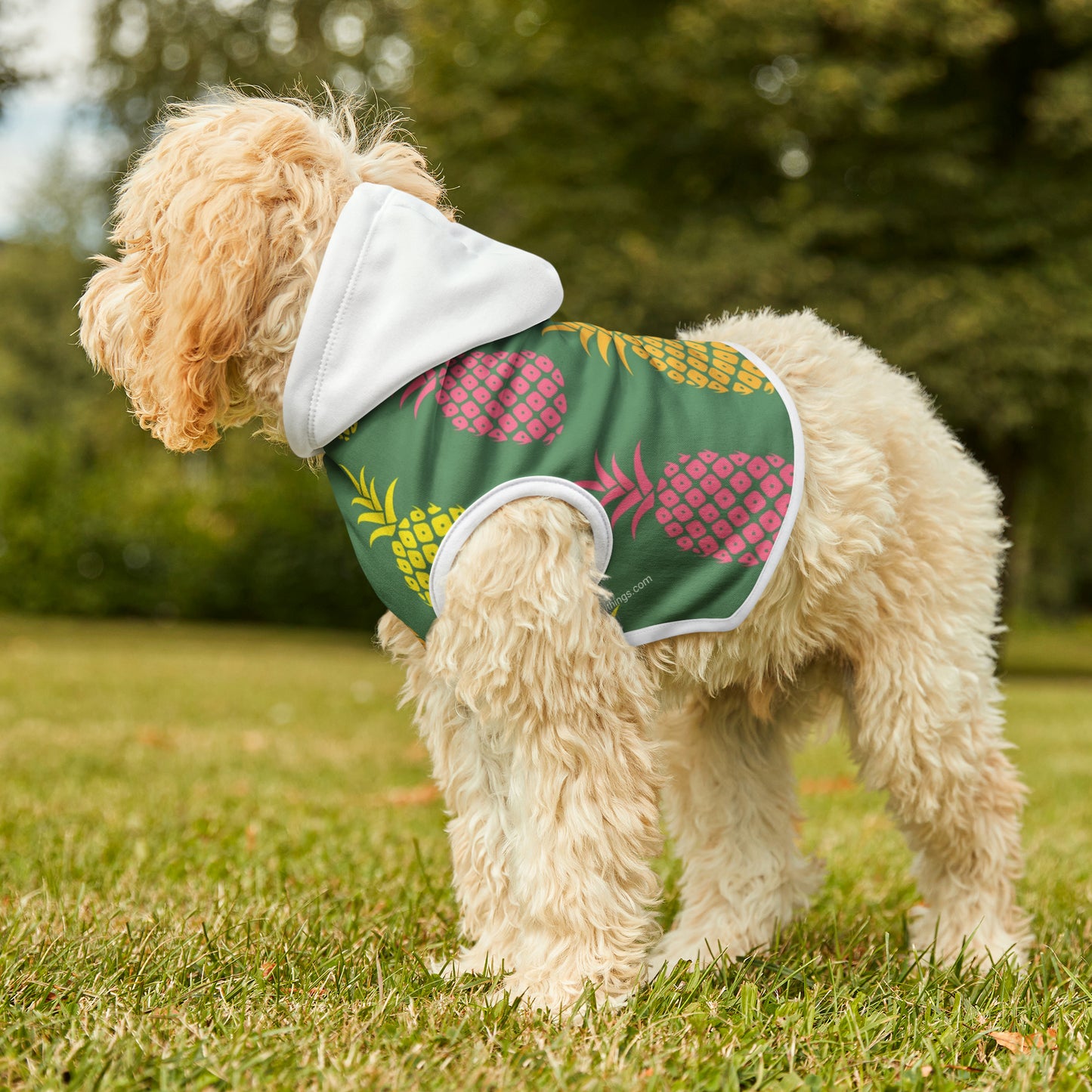 "Pineapple" Pet Hoodie