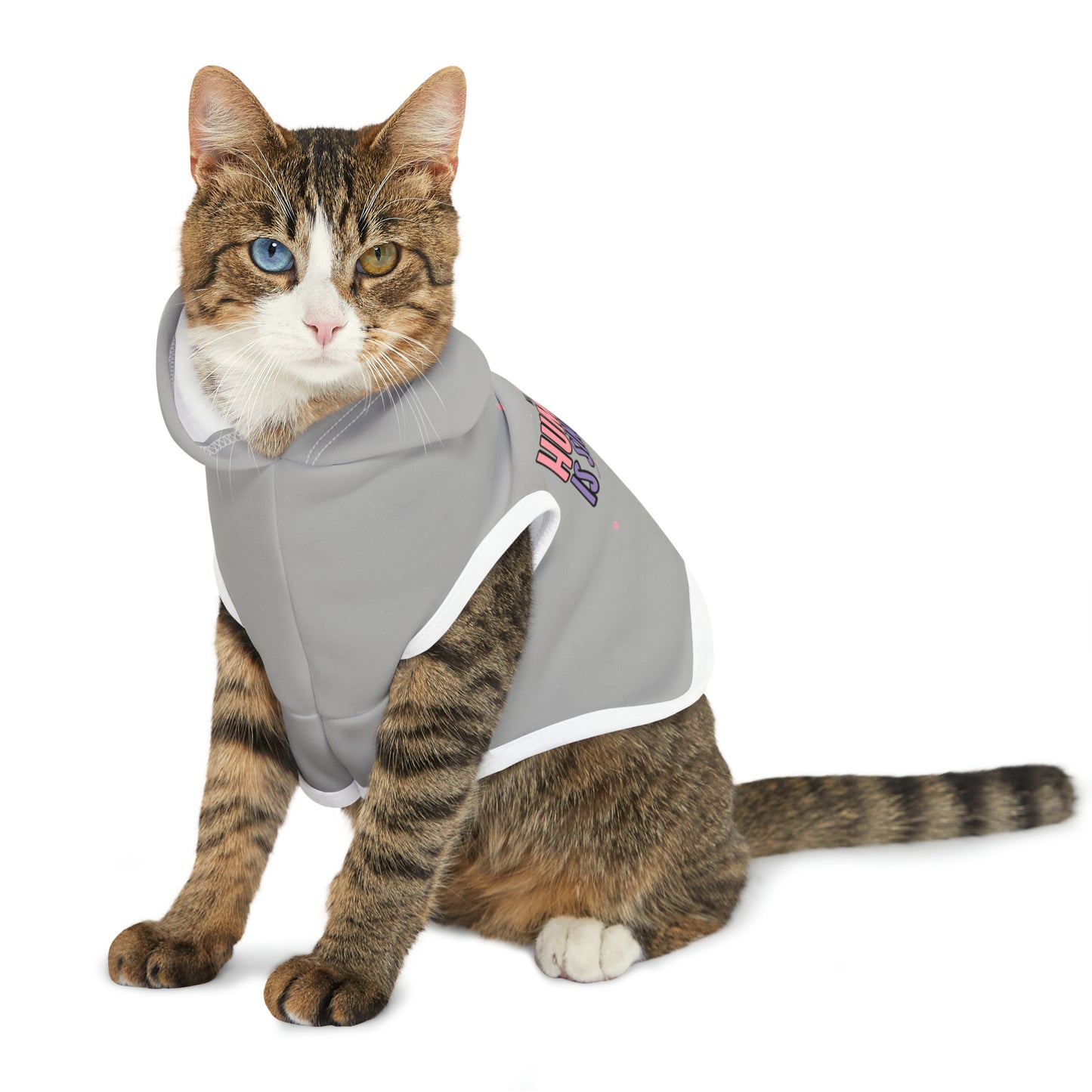 "My human is single" Pet Hoodie
