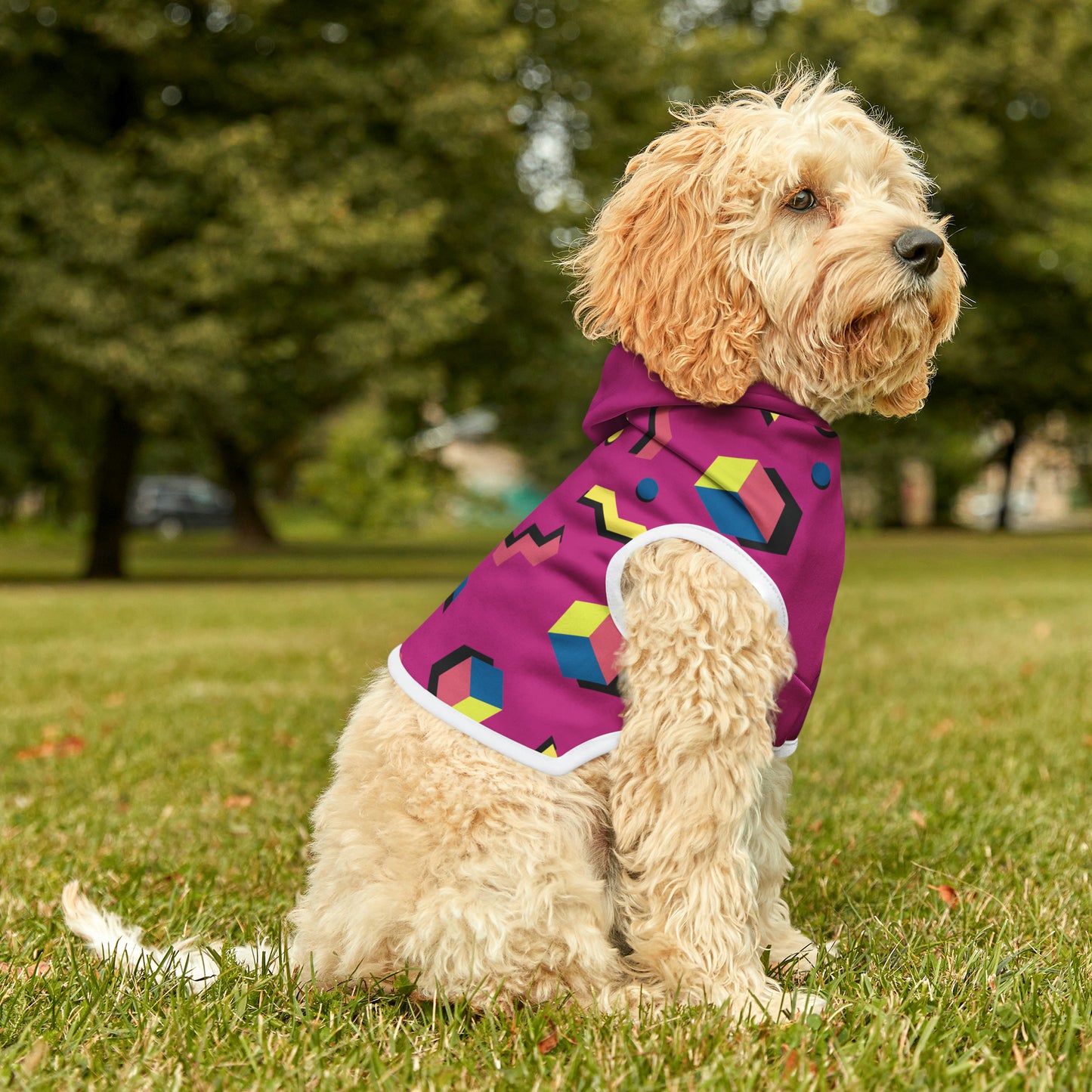 "Pink" Pet Hoodie
