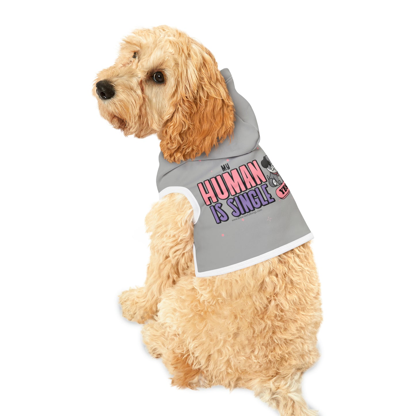 "My human is single" Pet Hoodie
