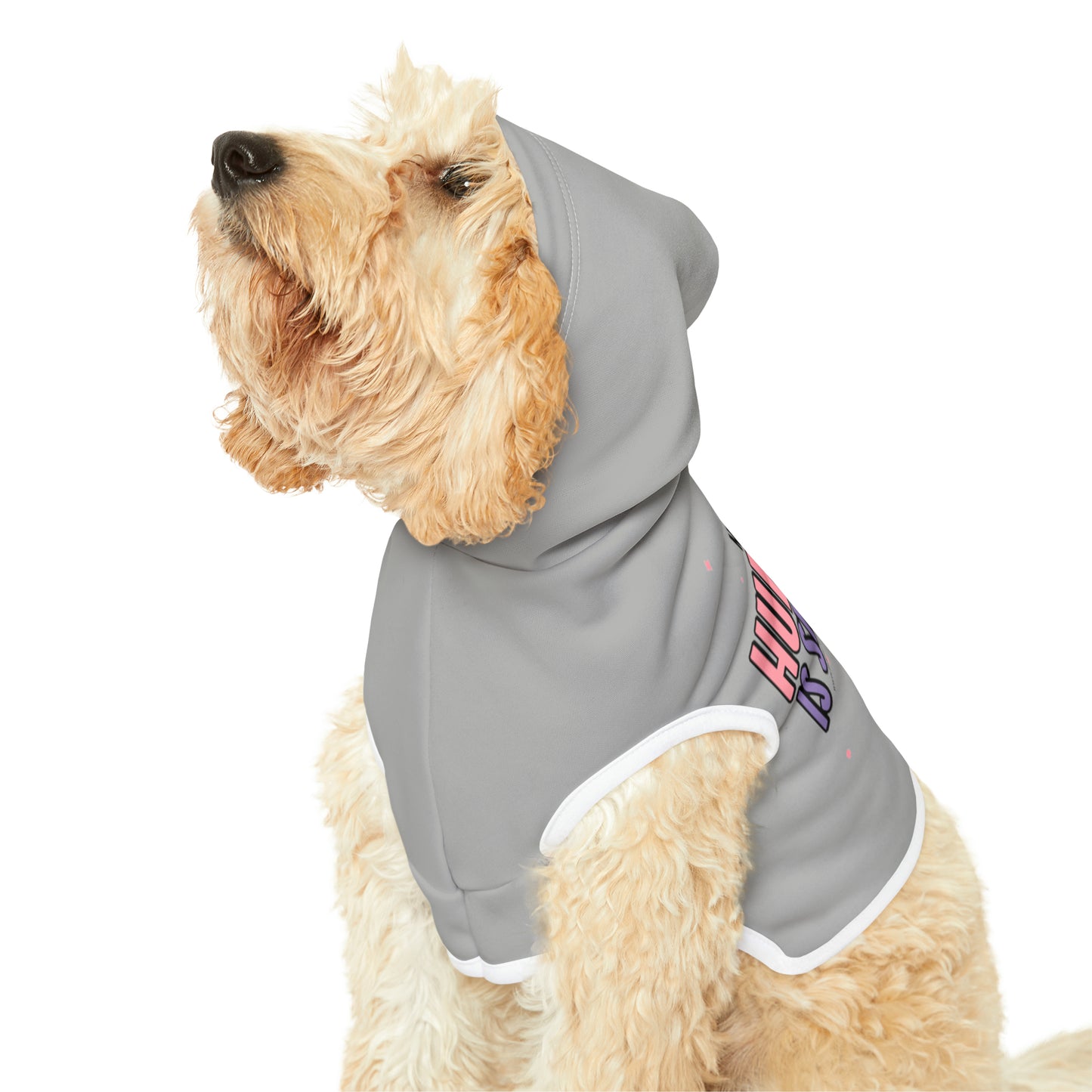 "My human is single" Pet Hoodie