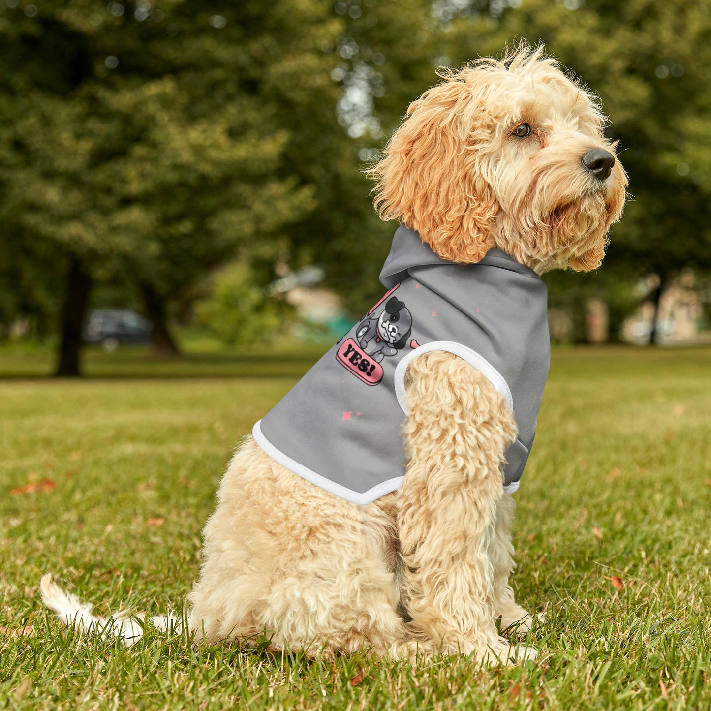 "My human is single" Pet Hoodie