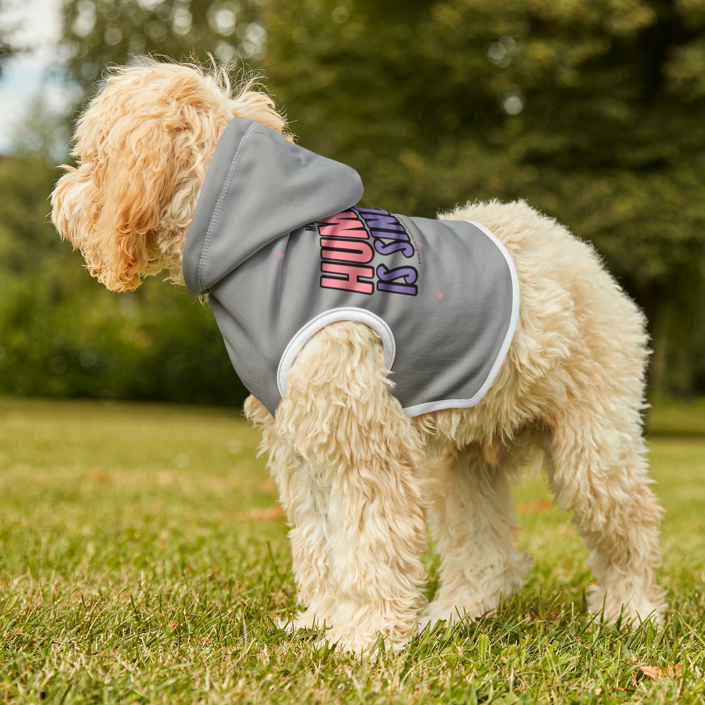 "My human is single" Pet Hoodie