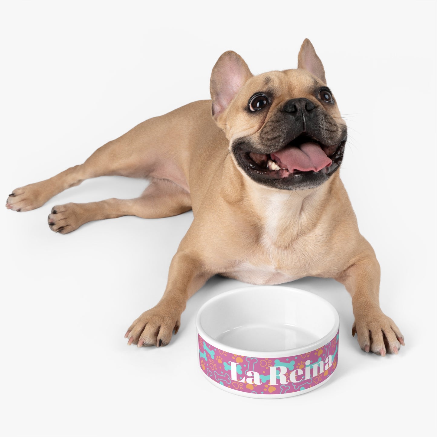 "La Reina" Pet Bowl
