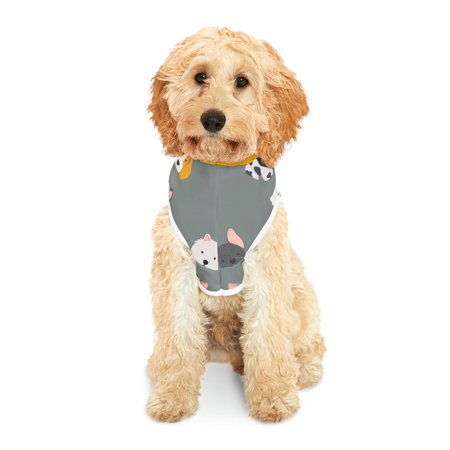 " I am pawerful" Pet Hoodie