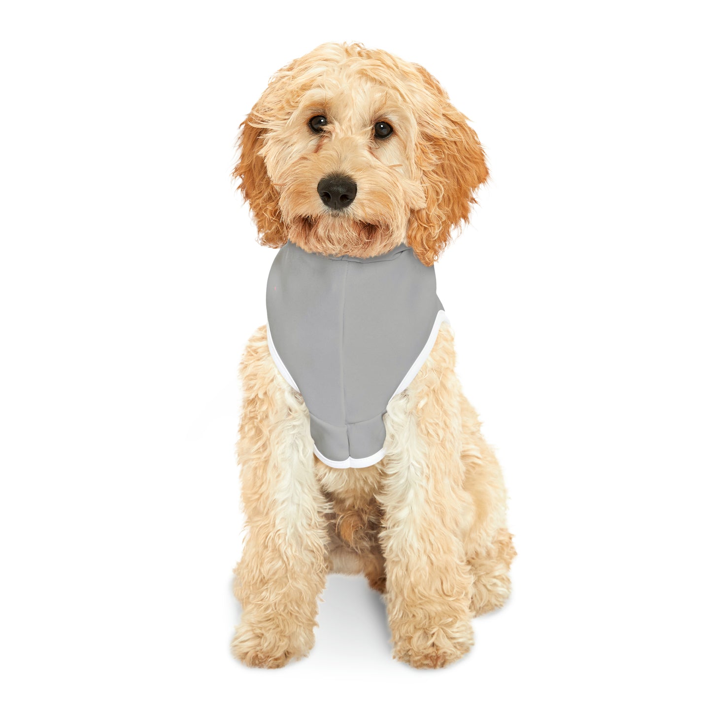 "My human is single" Pet Hoodie