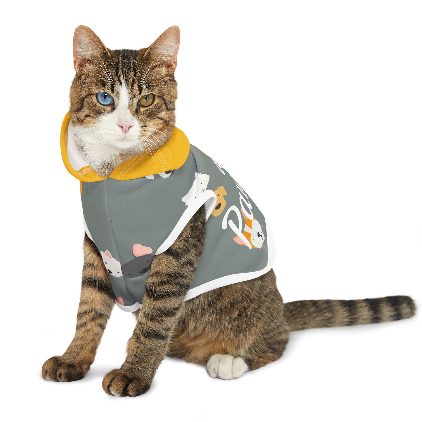" I am pawerful" Pet Hoodie