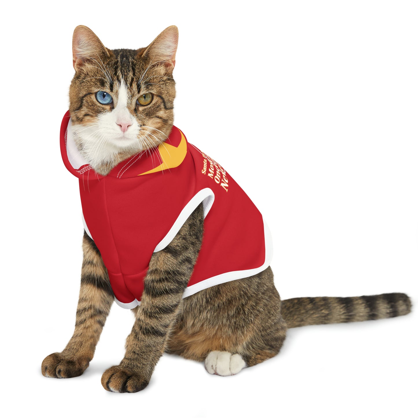 "Santa, I've been good all year.." Pet Hoodie
