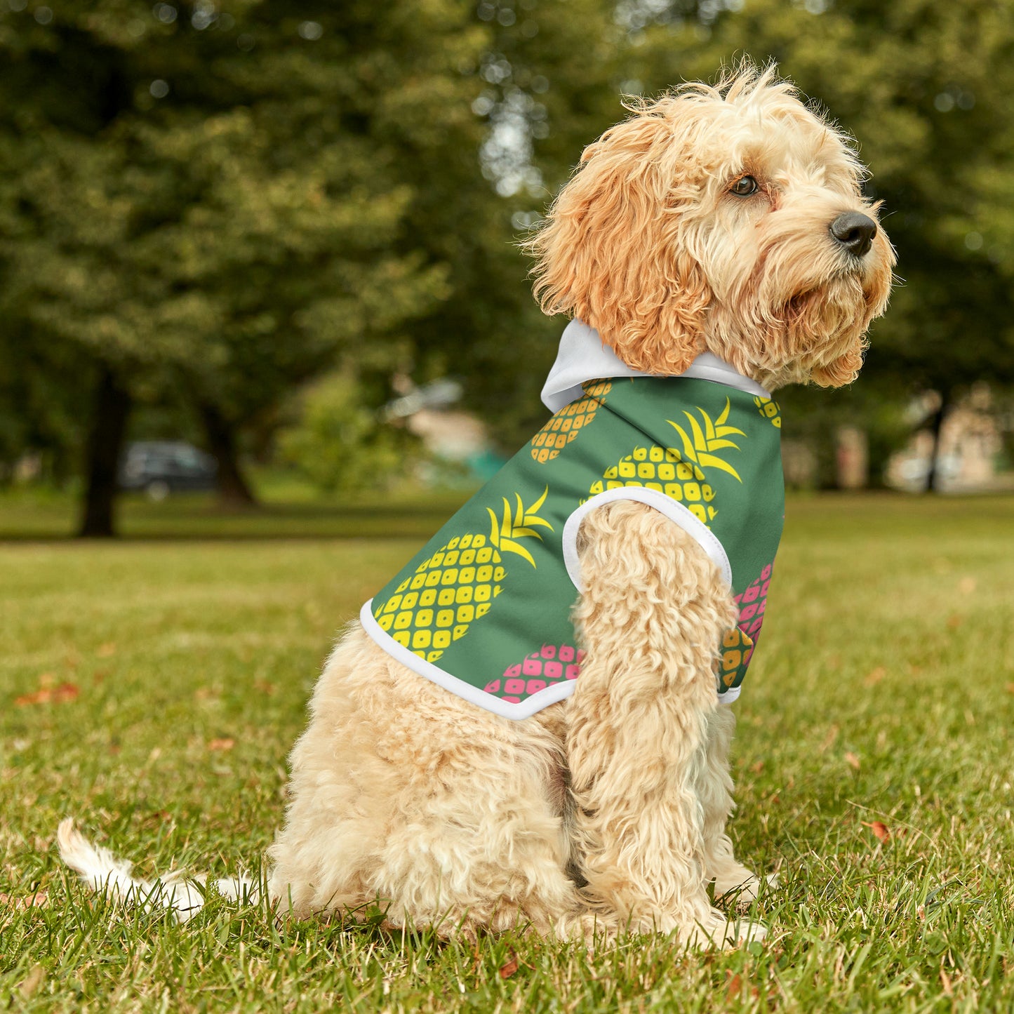 "Pineapple" Pet Hoodie