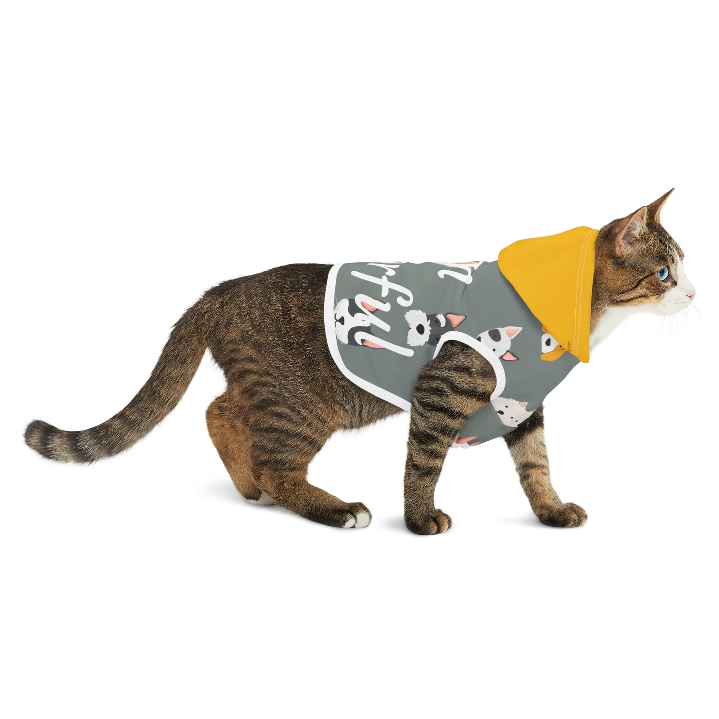 " I am pawerful" Pet Hoodie