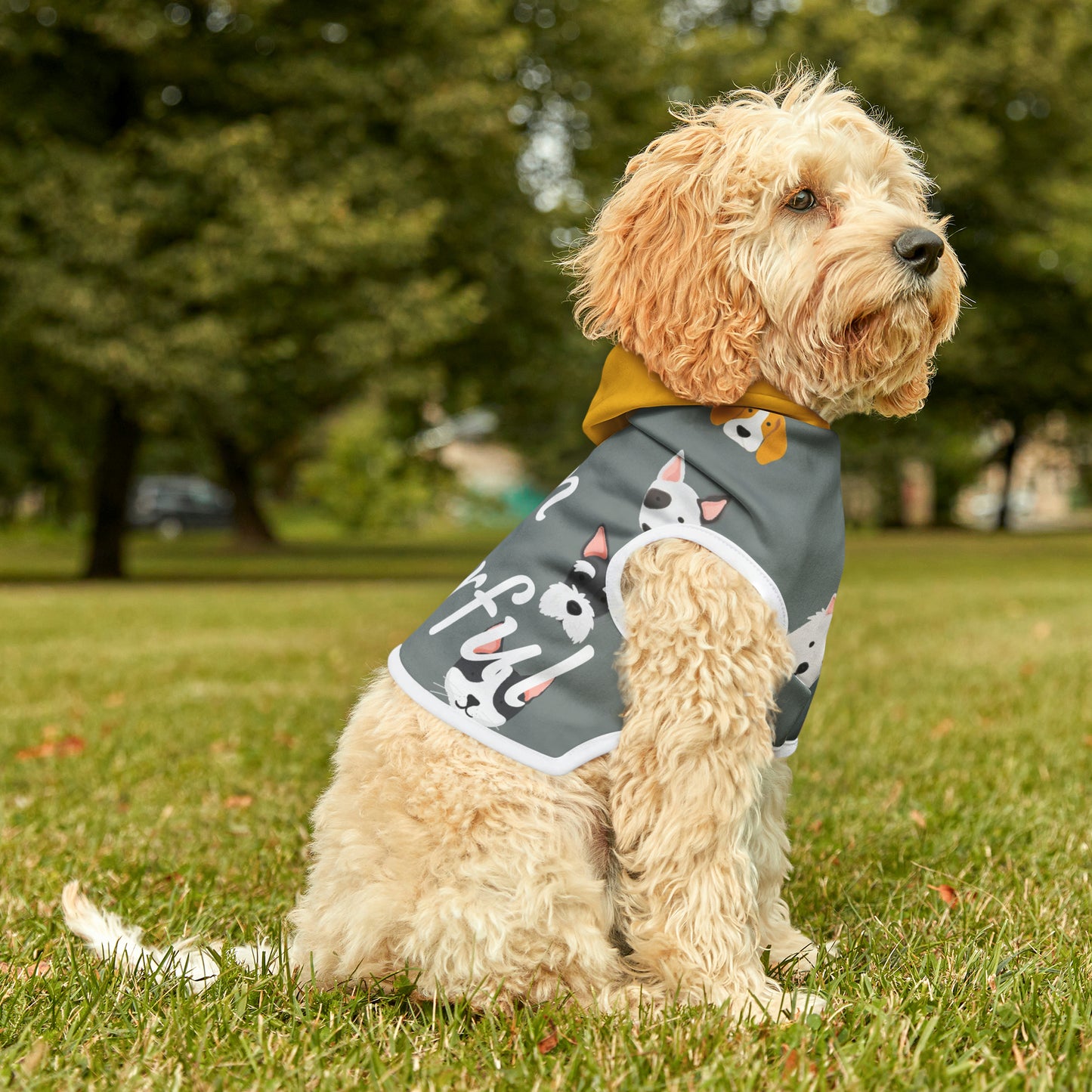 " I am pawerful" Pet Hoodie