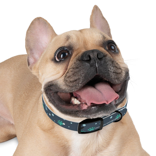 "blue bones"Dog Collar