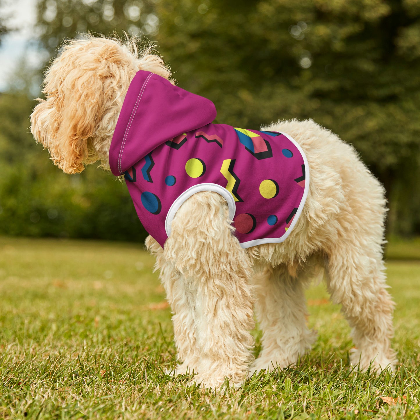 "Pink" Pet Hoodie